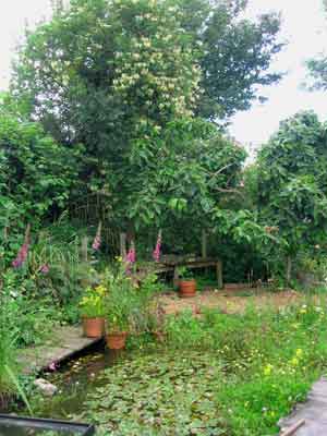 Wildlife Pond
